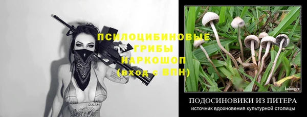 mix Белокуриха