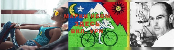 крисы Белоозёрский