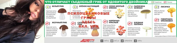 крисы Белоозёрский
