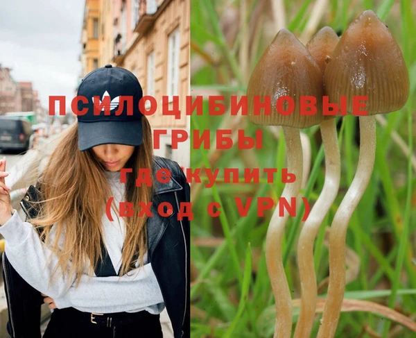 apvp Костерёво