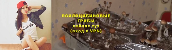 крисы Белоозёрский