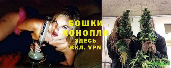mix Белокуриха