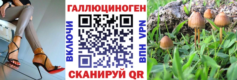 кракен ONION  Олёкминск  Галлюциногенные грибы Magic Shrooms 